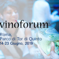 Heegen/Silfer parteciperemo al “Vino Forum” in qualità di partner tecnico dal 14 al 24 Giugno 2019